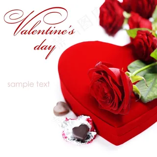 浪漫的玫瑰花大图 浪漫的玫瑰花大图