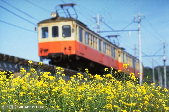 唯美花卉铁路风景画壁纸