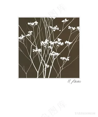 唯美树枝花卉插画