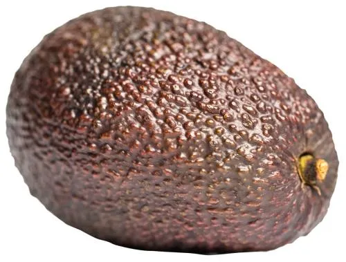 鳄梨 PNG免抠(500x379)
