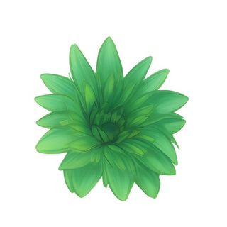 绿色花朵免抠