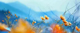 简约橙色小花鲜花，蓝色天空山脉虚幻意境摄影图