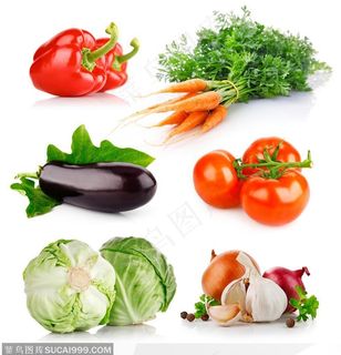 非常多的创意蔬菜高清图片户罗布 辣椒 番茄