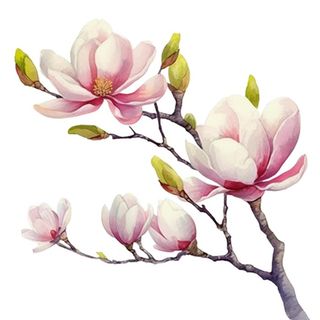 兰花手绘插画元素