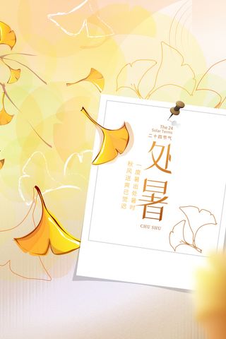 二十四节气处暑创意海报 