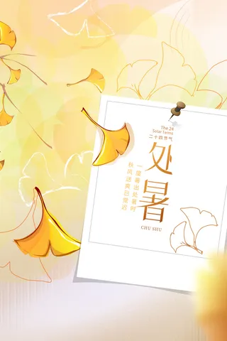 二十四节气处暑创意海报 