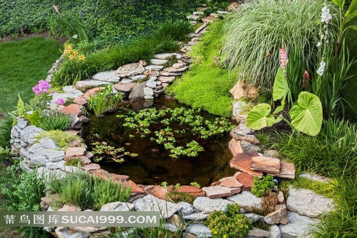 园林系列 - 精美的园林小池塘