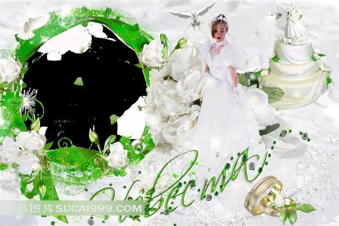 精美婚纱玫瑰花艺术相框