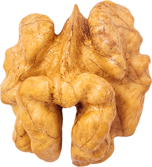 12_Walnut