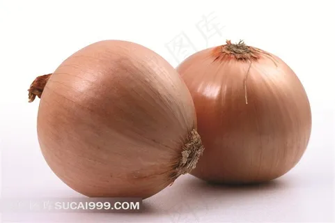 高清洋葱素材