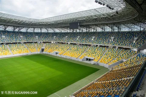 宏大的足球场场地高清