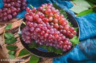 云南高山红提