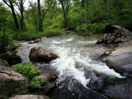 树林中流动的小溪