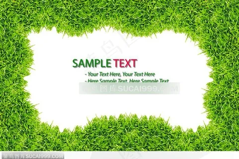 草地背景-漂亮的草地背景