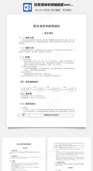财务预算和报销制度word文档
