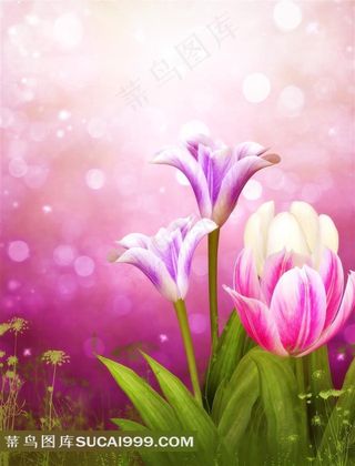 唯美鲜花背景图片