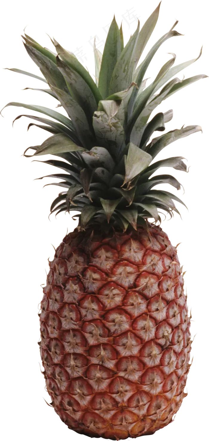 PNG 菠萝 