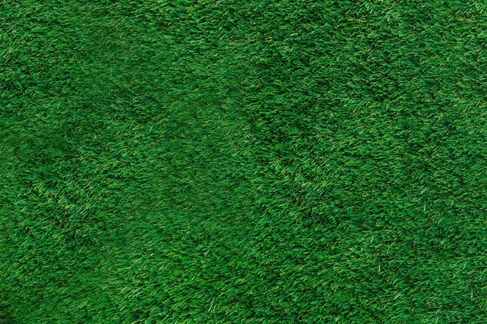 草地草皮纹理图