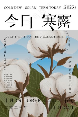 简约背景二十四节气寒露海报
