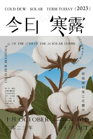 简约背景二十四节气寒露海报