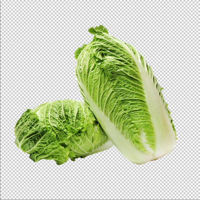 大白菜免扣素材