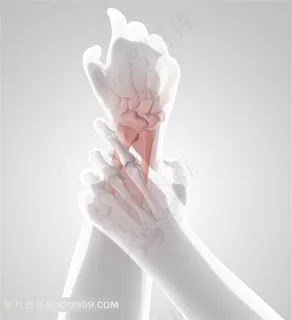 人体腰椎劲椎广告高清图片 人体腰椎劲椎广告高清图片