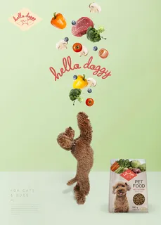 宠物用品宣传广告