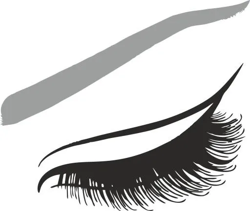 睫毛 PNG免抠(1920x1624)