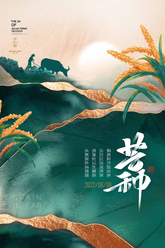 芒种 芒种海报设计