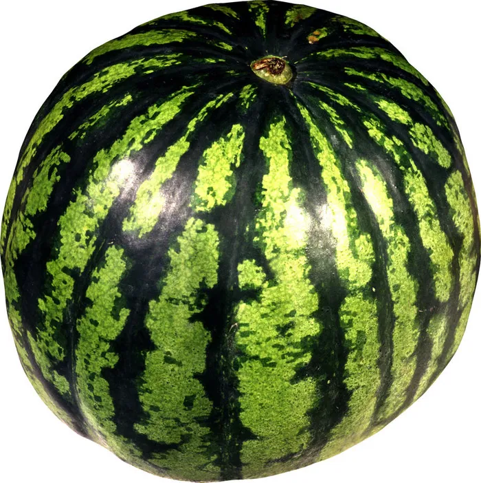 唯美素食西瓜