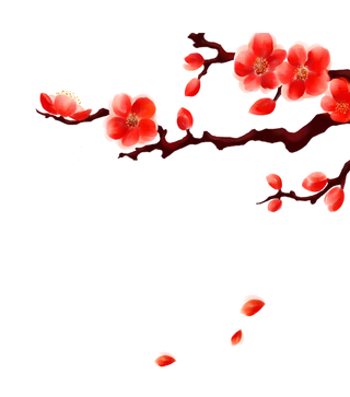红梅花  免抠
