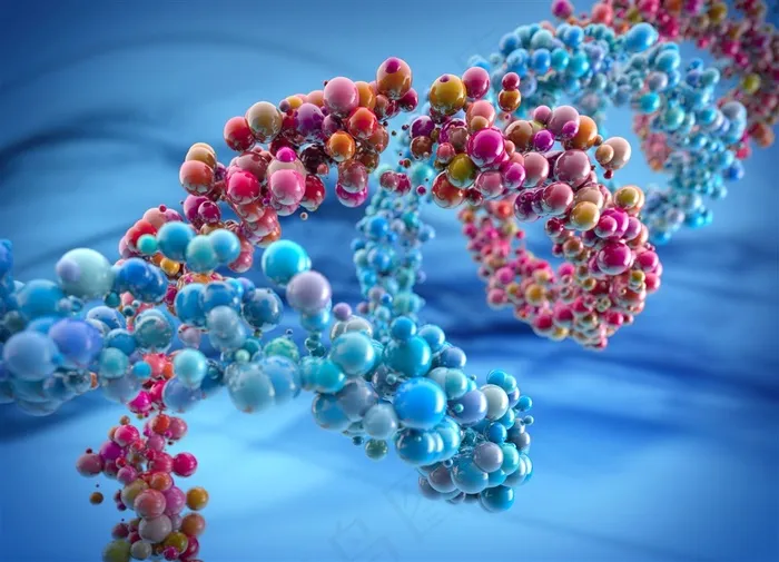 细胞分子结构图片