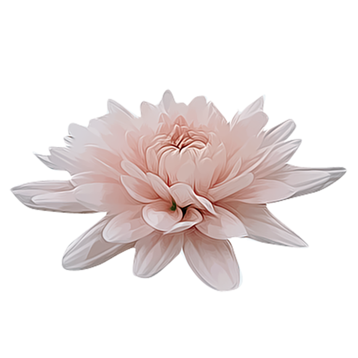 中国古风元素莲花