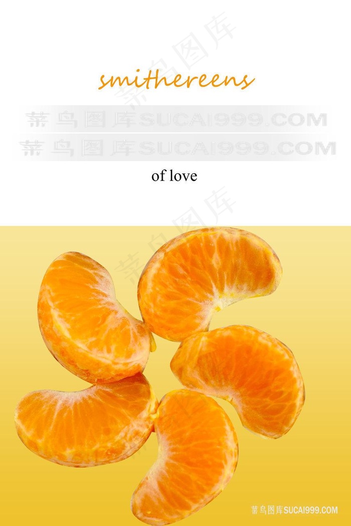 唯美橘子高清艺术插画