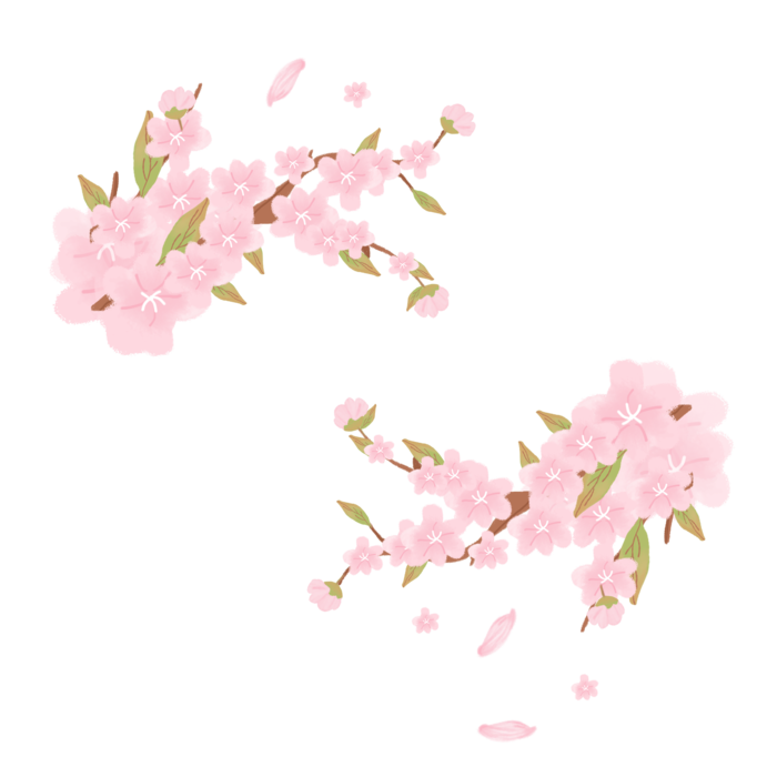 春天浪漫粉红色樱花手绘樱花梅花桃花花朵图片PNG免扣素材