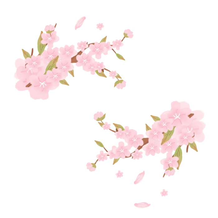 春天浪漫粉红色樱花手绘樱花梅花桃花花朵图片PNG免扣素材