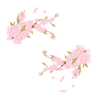 春天浪漫粉红色樱花手绘樱花梅花桃花花朵图片PNG免扣素材