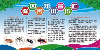 讲卫生除四害 除四害展板 除四害 夏季饮食常识 夏季健康教育 