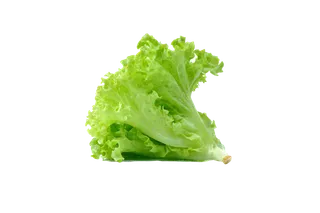 生菜 (30)超市商品白底图免抠实物摄影png格式图片透明底