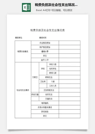 税费负担及社会性支出情况表excel模板