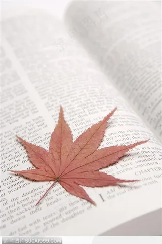 简单生活-红色枫叶书签