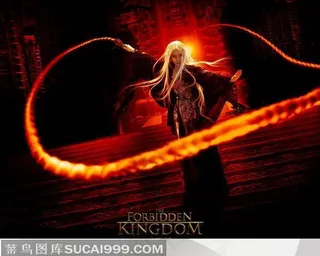 国外好莱坞好看的电影大推荐-功夫之王刘亦菲