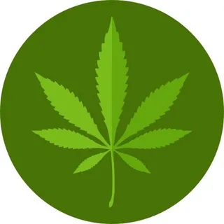 大麻PNG免抠