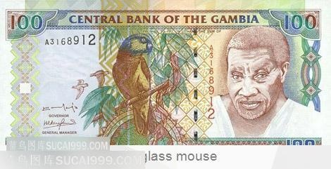 100元外币上的鹦鹉与人物头像