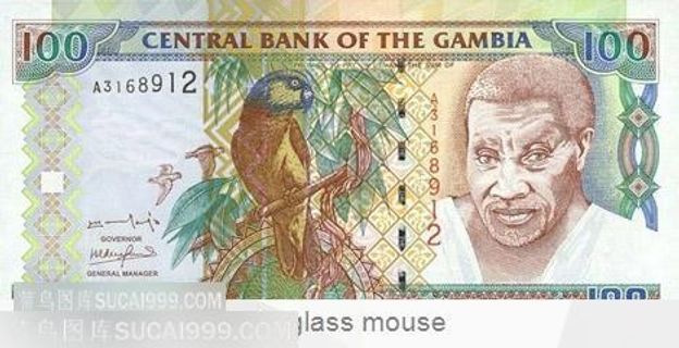 100元外币上的鹦鹉与人物头像