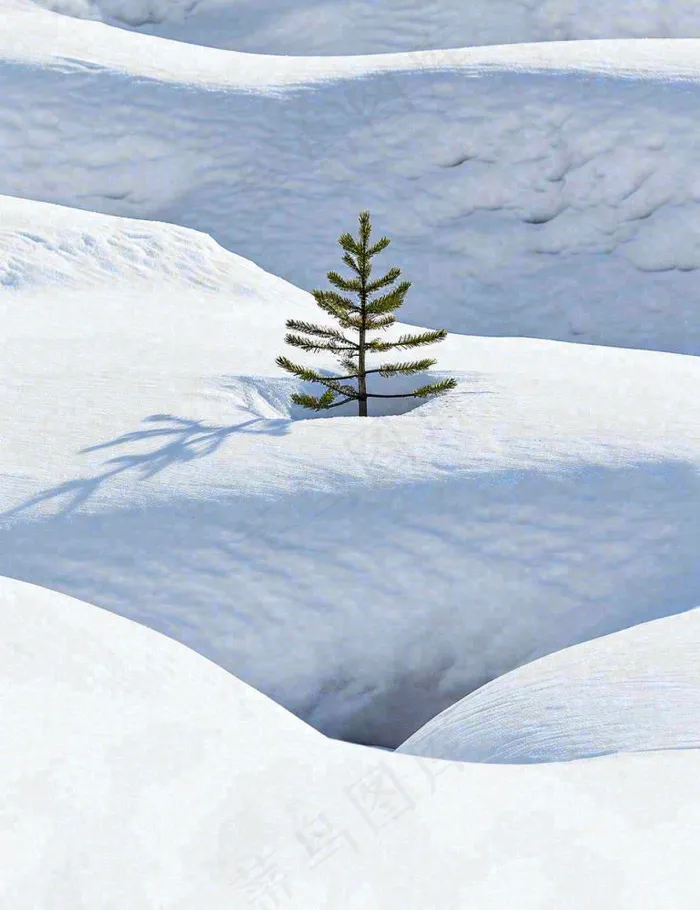 冬天意境简约松树雪地，立冬冬至小雪大雪小寒大寒(960x1248)