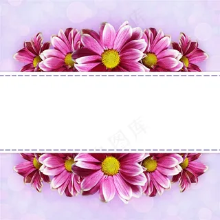 美丽的花朵花边装饰