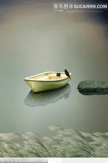 一只小船上站着一直水鸟