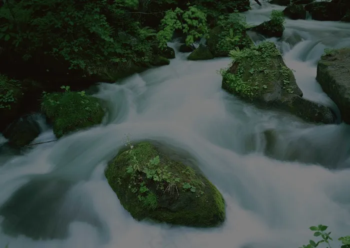 瀑布水域 485