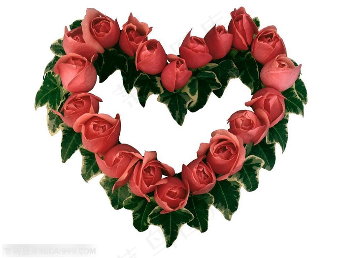 粉色玫瑰花组成心形边框